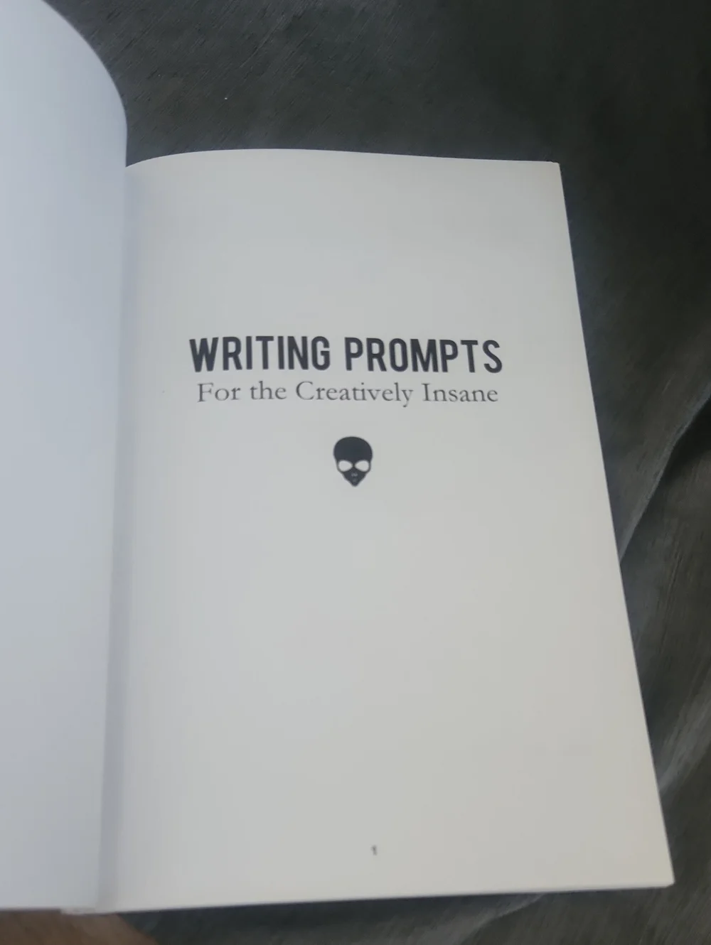 Writing Prompts For The Creatively Insane Book